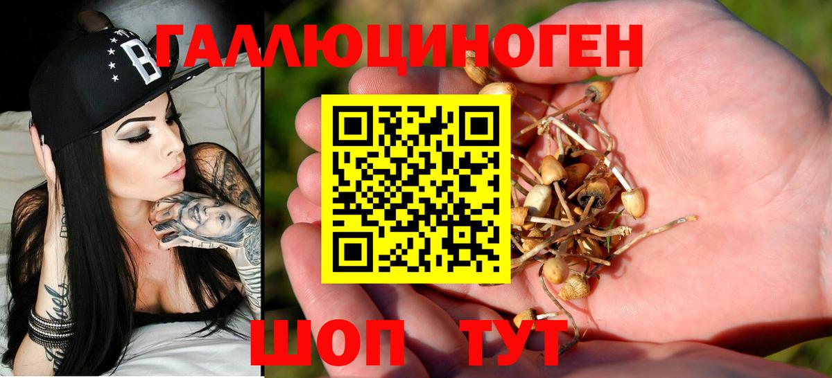 даркнет сайт  Галлюциногенные грибы прущие грибы  Вход с VPN  Сунжа 
