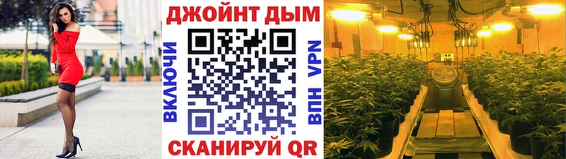 блэк спрут как войти Сунжа Канабис OG Kush
