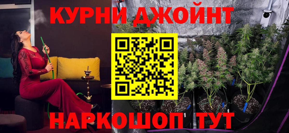 Бошки Шишки VHQ Сунжа